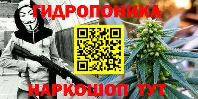 спиды Кунгур