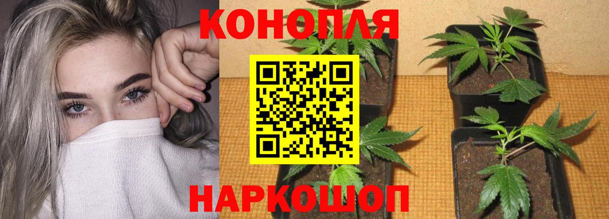Каннабис White Widow  Шишки марихуана White Widow  Ярославль  Бошки Шишки тримм  Вход с VPN 